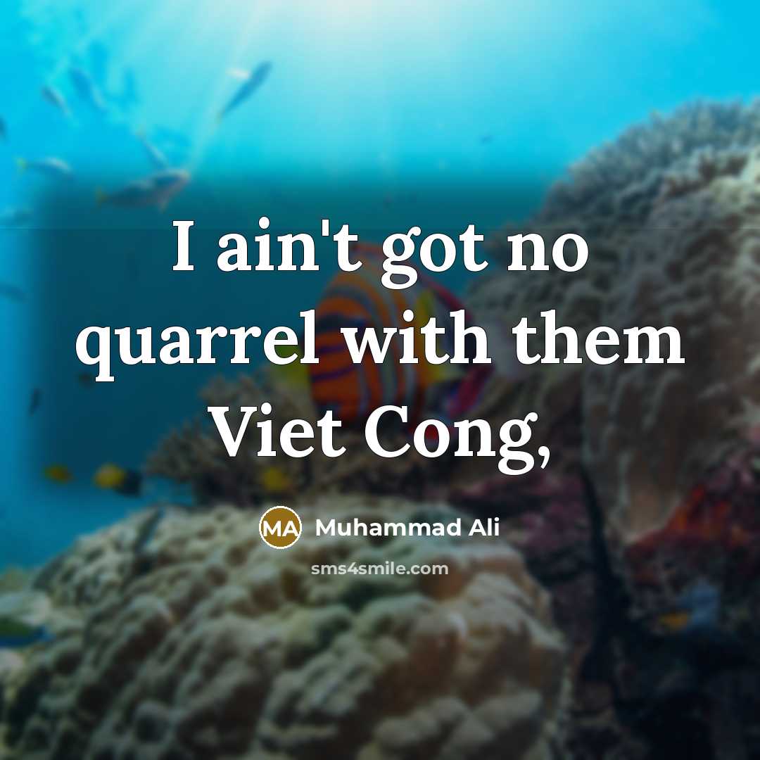 “I ain't got no quarrel with them Viet Cong,” quote by Muhammad Ali