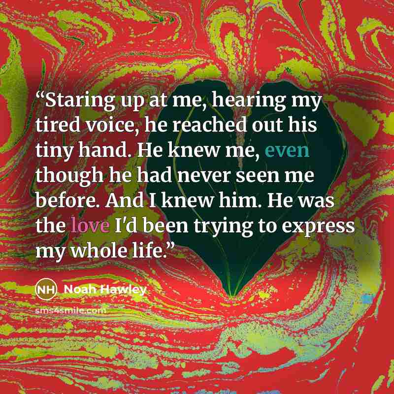 “Staring up at me, hearing my tired voice, he reached out his tiny hand. He knew me, even though he had never seen me before. And I knew him. He was the love I'd been trying to express my whole life.” quote by Noah Hawley