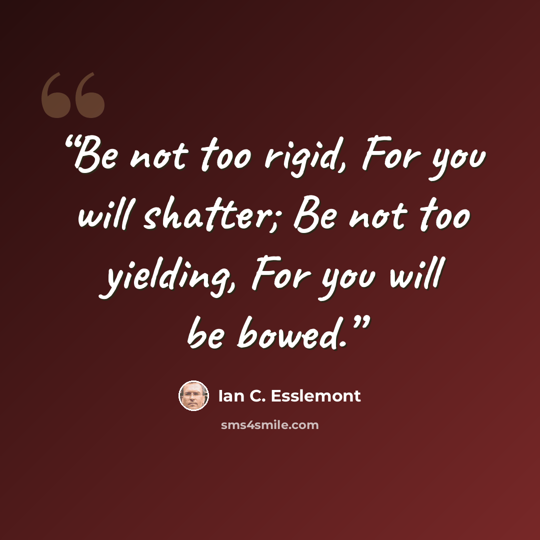 “Be not too rigid, For you will shatter; Be not too yielding, For you will be bowed.” quote by Ian C. Esslemont