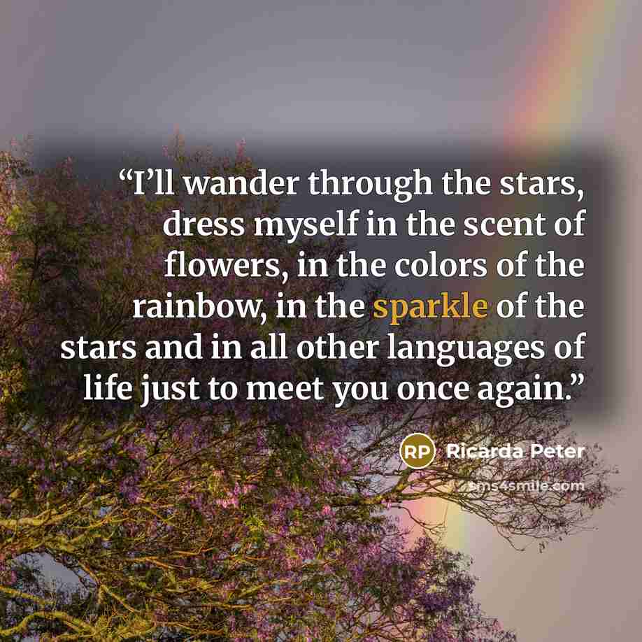 “I’ll wander through the stars, dress myself in the scent of flowers, in the colors of the rainbow, in the sparkle of the stars and in all other languages of life just to meet you once again.” quote by Ricarda Peter