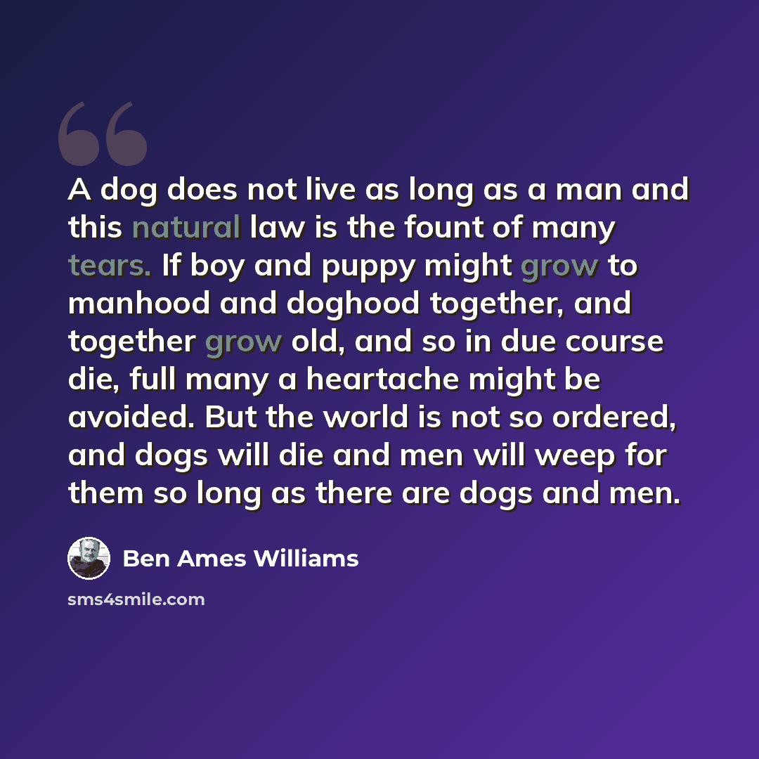 “A dog does not live as long as a man and this natural law is the fount of many tears. If boy and puppy might grow to manhood and doghood together, and together grow old, and so in due course die, full many a heartache might be avoided. But the world is not so ordered, and dogs will die and men…” quote by Ben Ames Williams