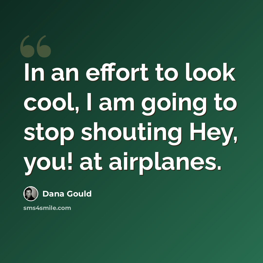 “In an effort to look cool, I am going to stop shouting Hey, you! at airplanes.” quote by Dana Gould