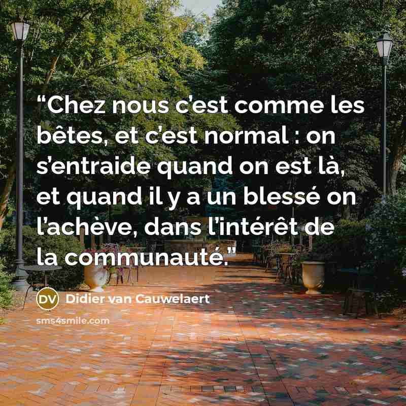 “Chez nous c’est comme les bêtes, et c’est normal : on s’entraide quand on est là, et quand il y a un blessé on l’achève, dans l’intérêt de la communauté.” quote by Didier van Cauwelaert