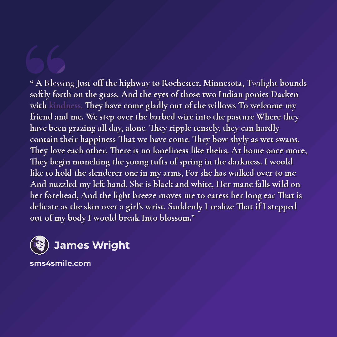 “A Blessing Just off the highway to Rochester, Minnesota, Twilight bounds softly forth on the grass. And the eyes of those two Indian ponies Darken with kindness. They have come gladly out of the willows To welcome my friend and me. We step over the barbed wire into the pasture Where they have been…” quote by James Wright