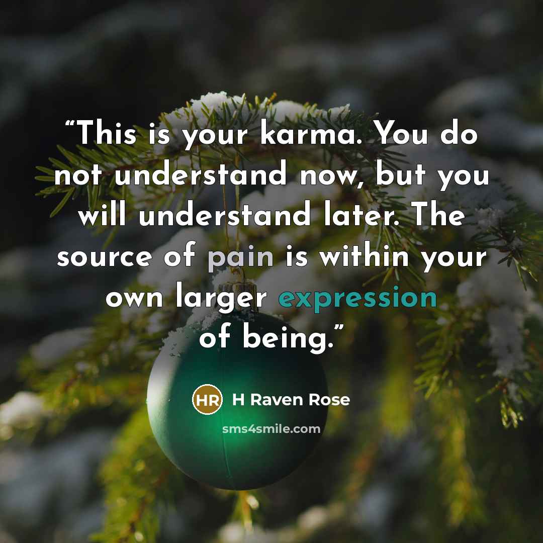 “This is your karma. You do not understand now, but you will understand later. The source of pain is within your own larger expression of being.” quote by H Raven Rose