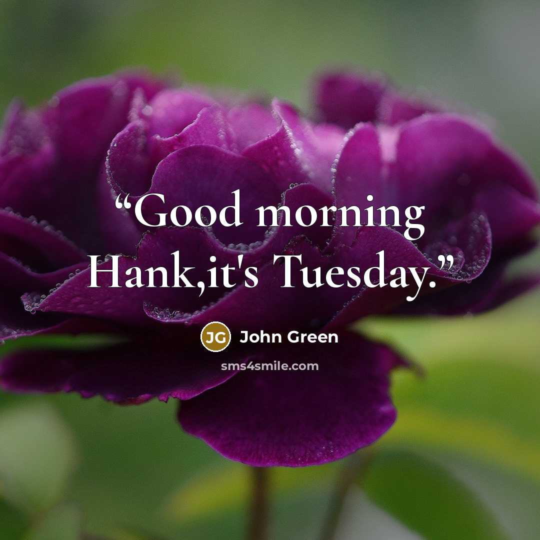 “Good morning Hank,it's Tuesday.” quote by John Green