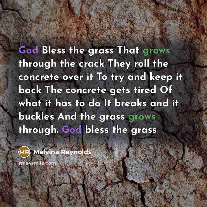 “God Bless the grass That grows through the crack They roll the concrete over it To try and keep it back The concrete gets tired Of what it has to do It breaks and it buckles And the grass grows through. God bless the grass” quote by Malvina Reynolds
