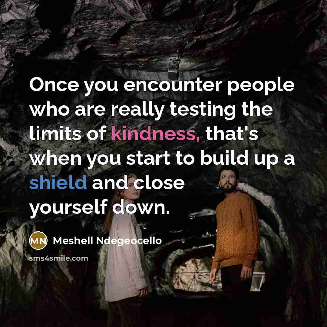 “Once you encounter people who are really testing the limits of kindness, that's when you start to build up a shield and close yourself down.” quote by Meshell Ndegeocello