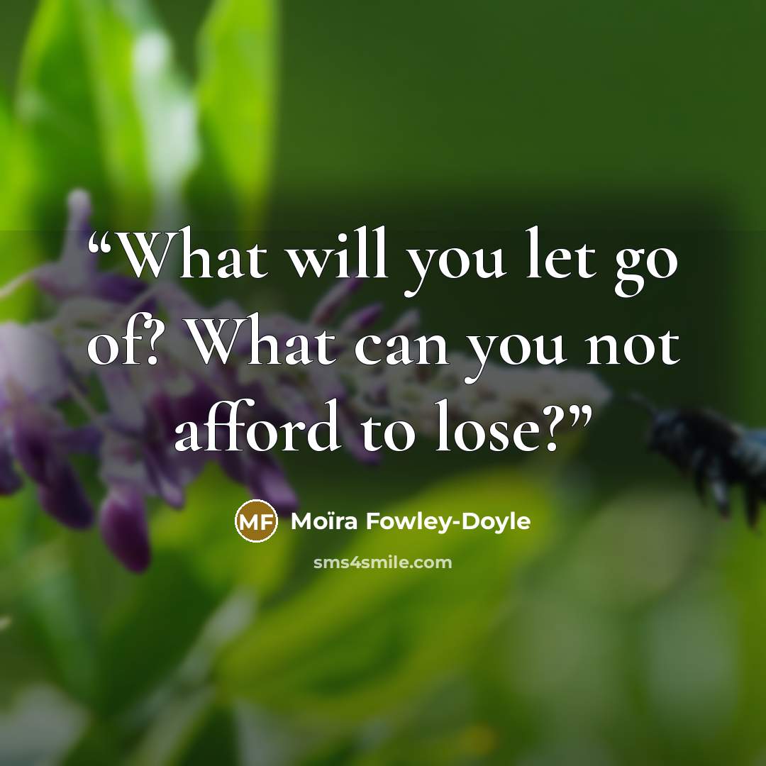 “What will you let go of? What can you not afford to lose?” quote by Moïra Fowley-Doyle