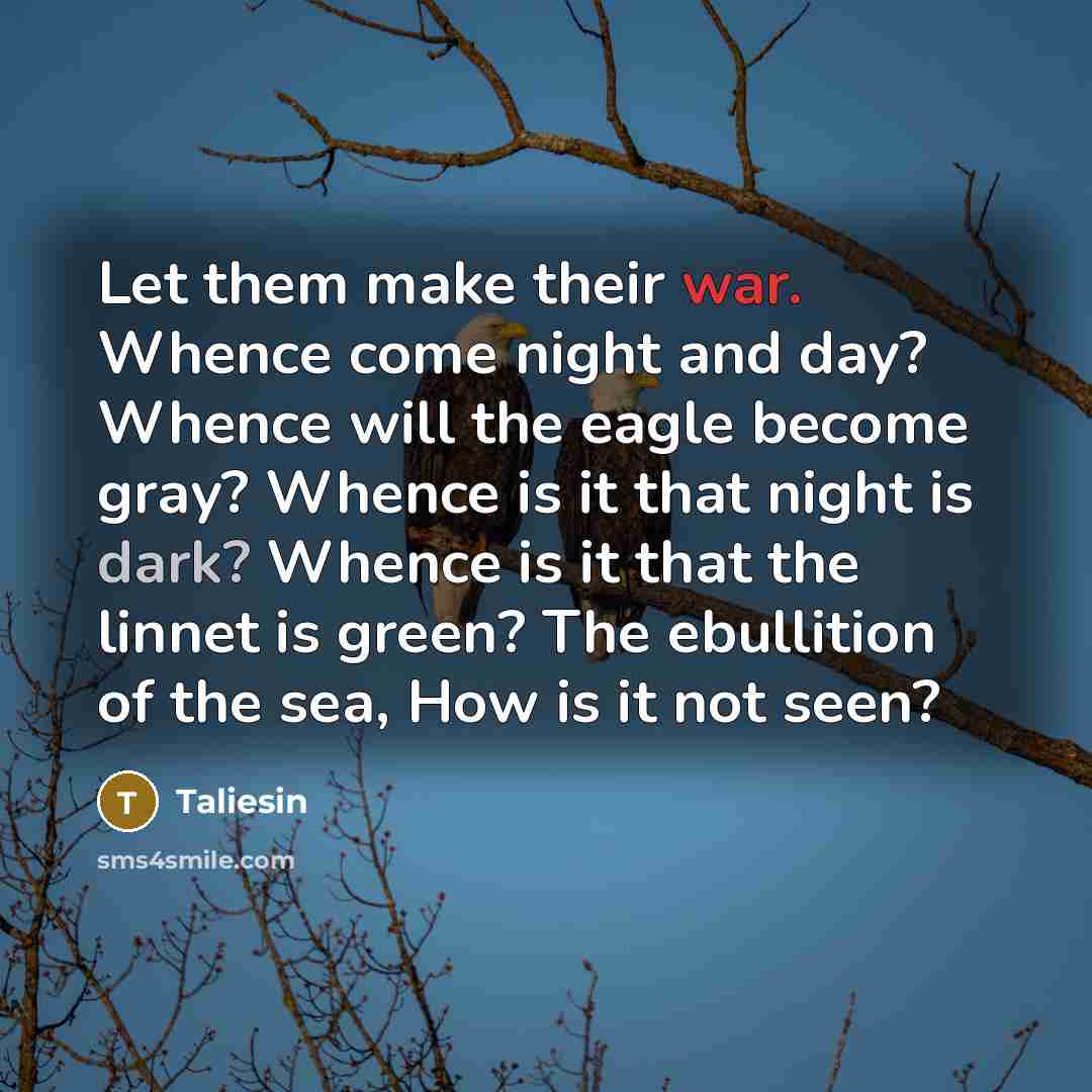 “Let them make their war. Whence come night and day? Whence will the eagle become gray? Whence is it that night is dark? Whence is it that the linnet is green? The ebullition of the sea, How is it not seen?” quote by Taliesin
