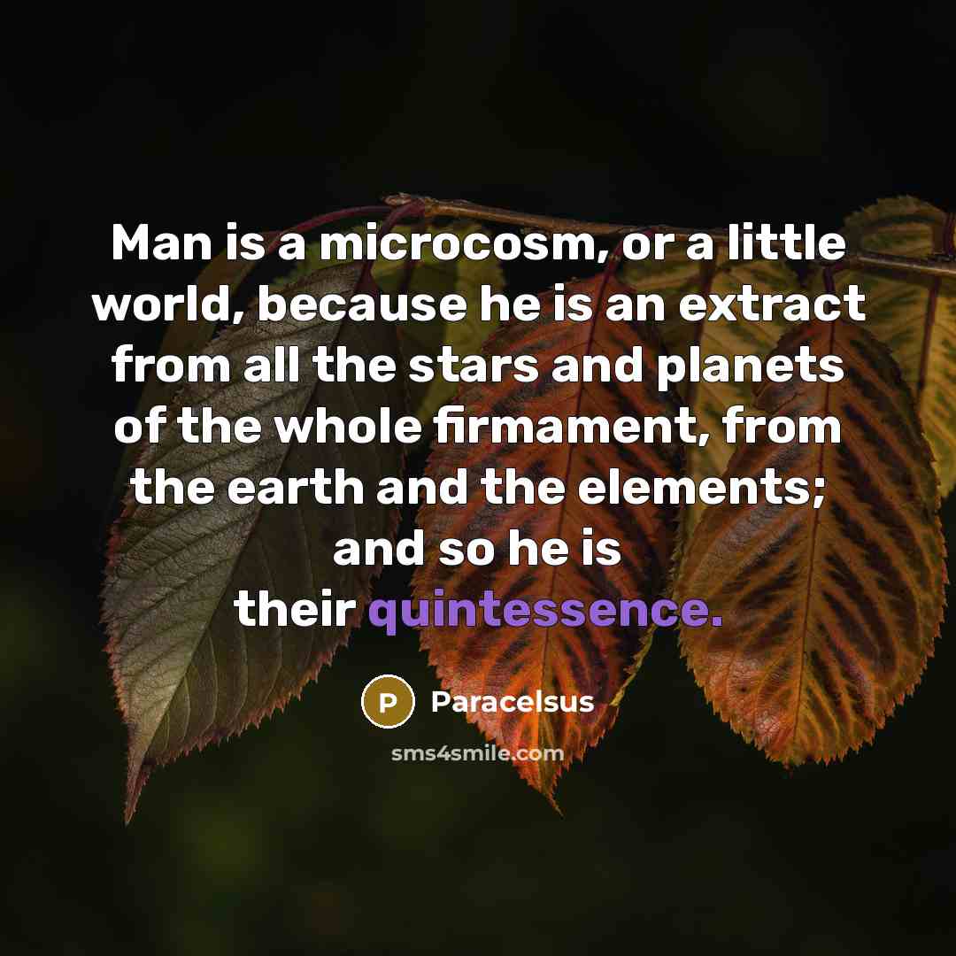 “Man is a microcosm, or a little world, because he is an extract from all the stars and planets of the whole firmament, from the earth and the elements; and so he is their quintessence.” quote by Paracelsus