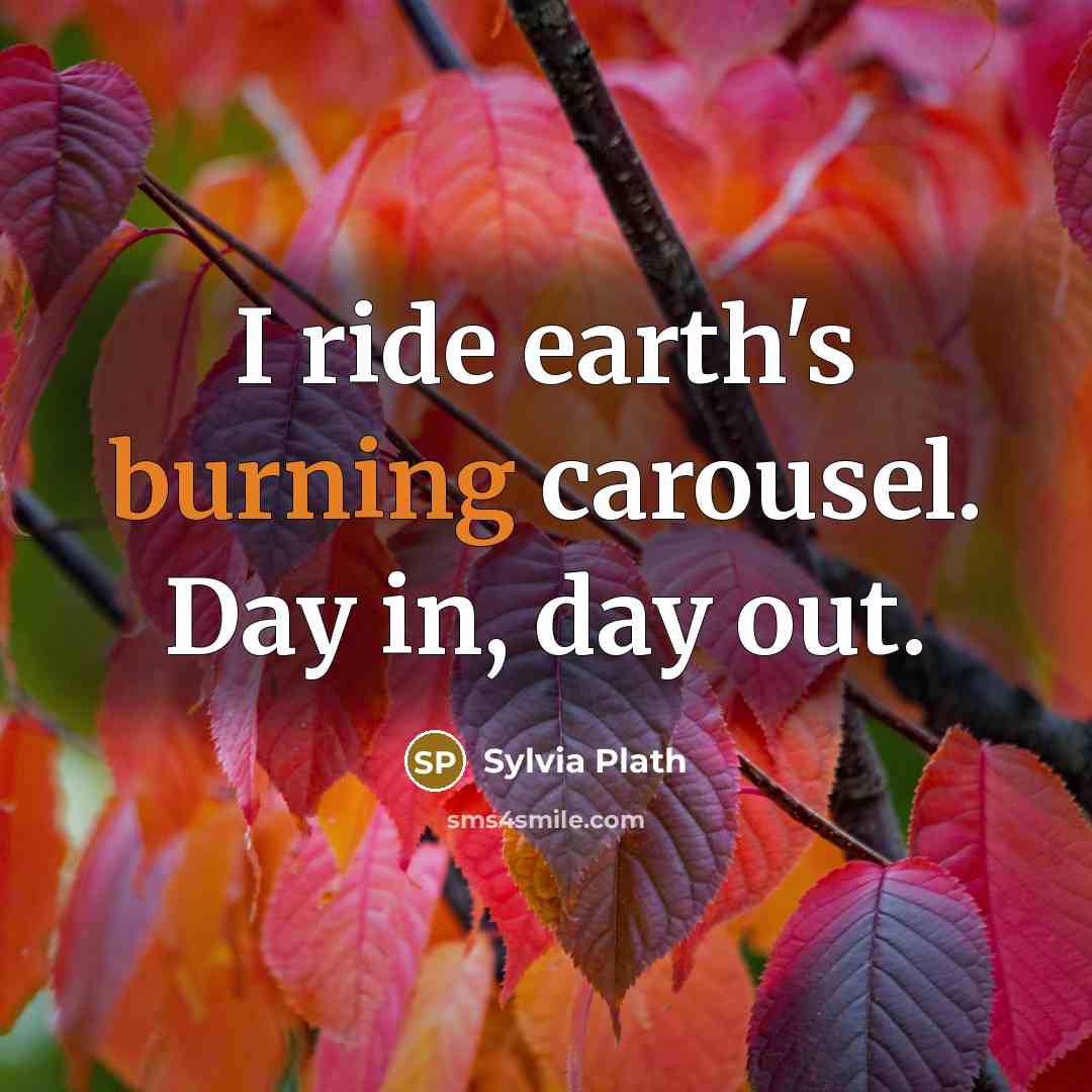 “I ride earth's burning carousel. Day in, day out.” quote by Sylvia Plath