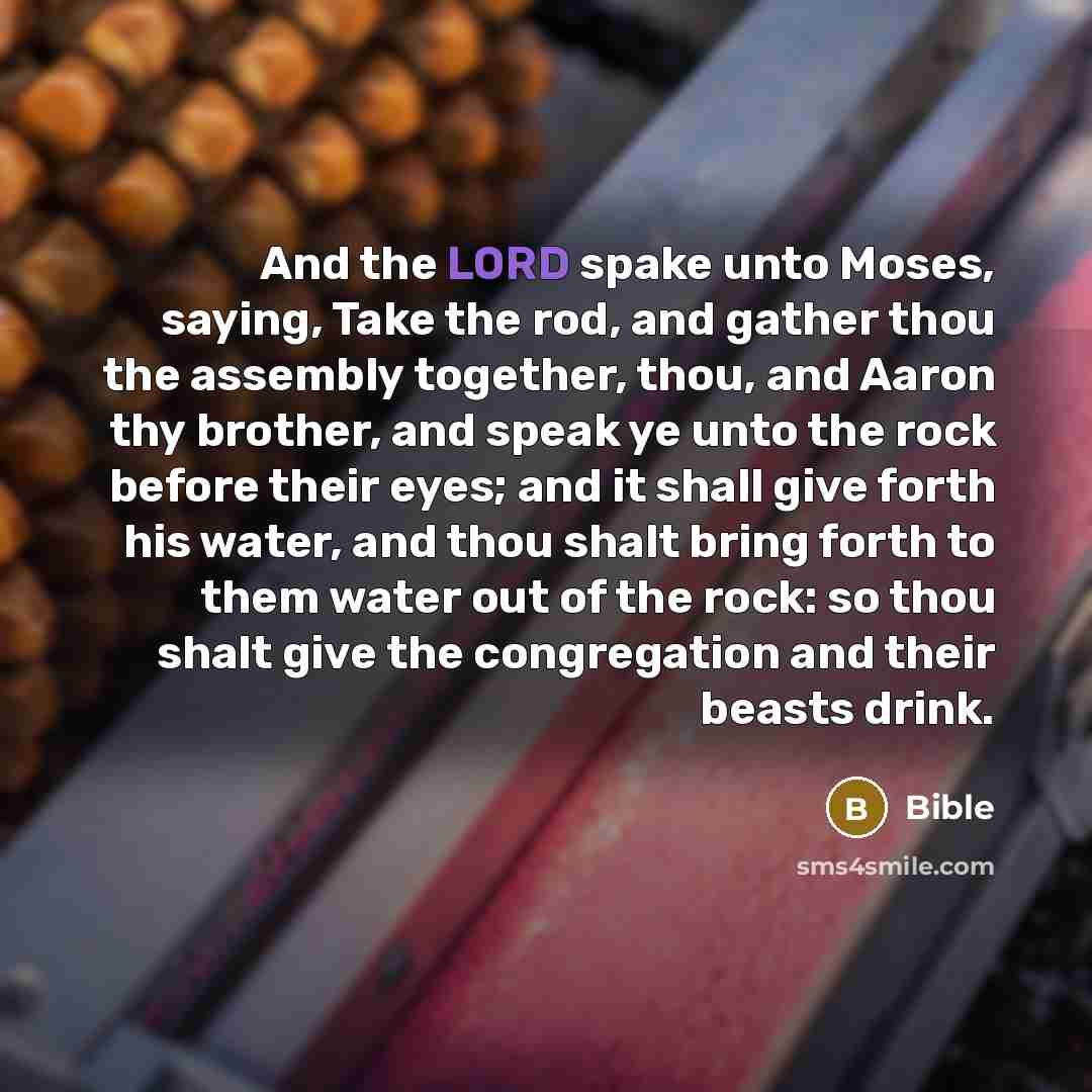 “And the LORD spake unto Moses, saying, Take the rod, and gather thou the assembly together, thou, and Aaron thy brother, and speak ye unto the rock before their eyes; and it shall give forth his water, and thou shalt bring forth to them water out of the rock: so thou shalt give the congregation…” quote by Bible