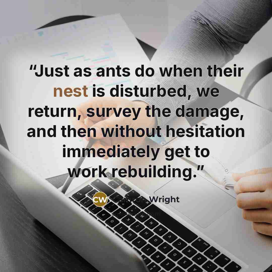 “Just as ants do when their nest is disturbed, we return, survey the damage, and then without hesitation immediately get to work rebuilding.” quote by Camron Wright