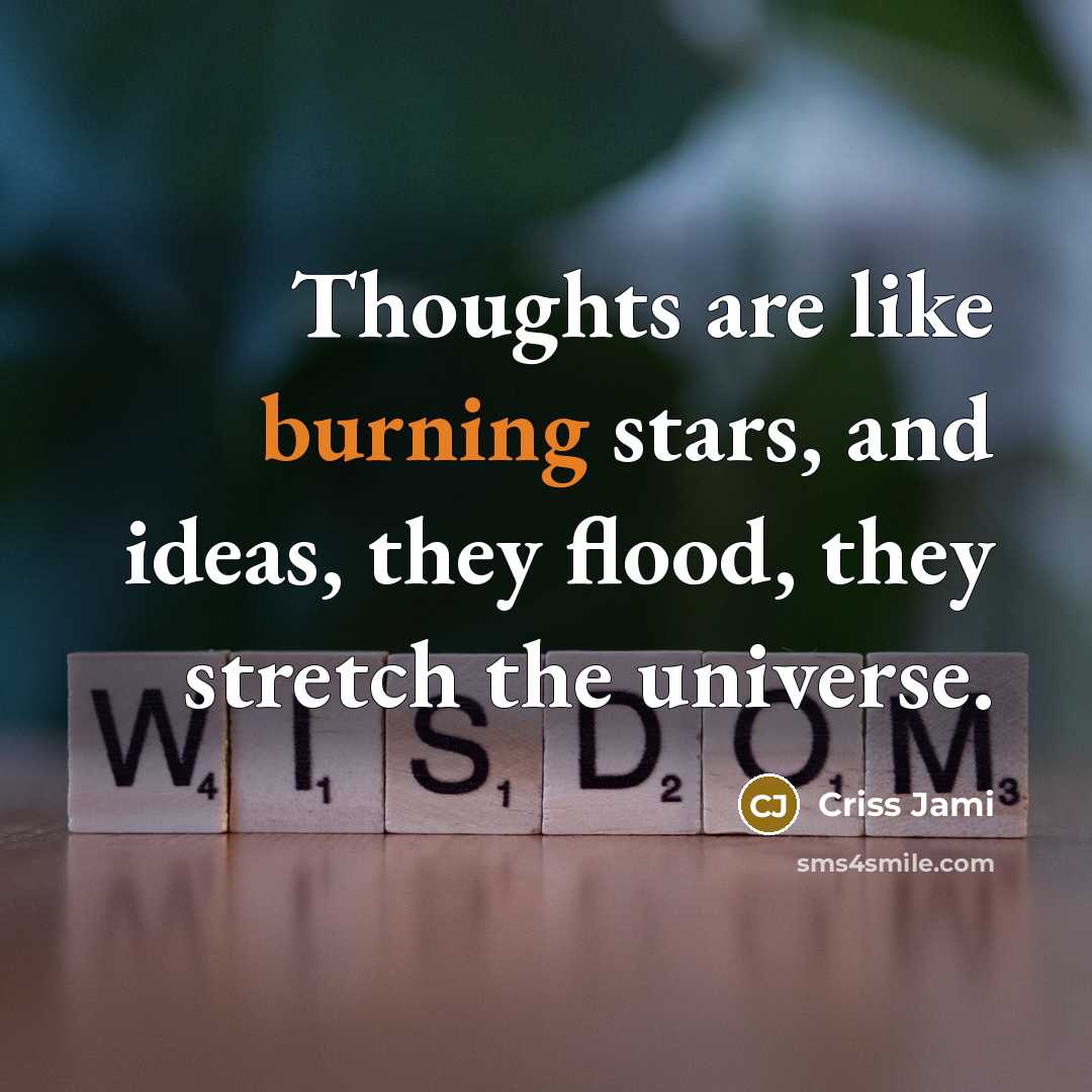 “Thoughts are like burning stars, and ideas, they flood, they stretch the universe.” quote by Criss Jami