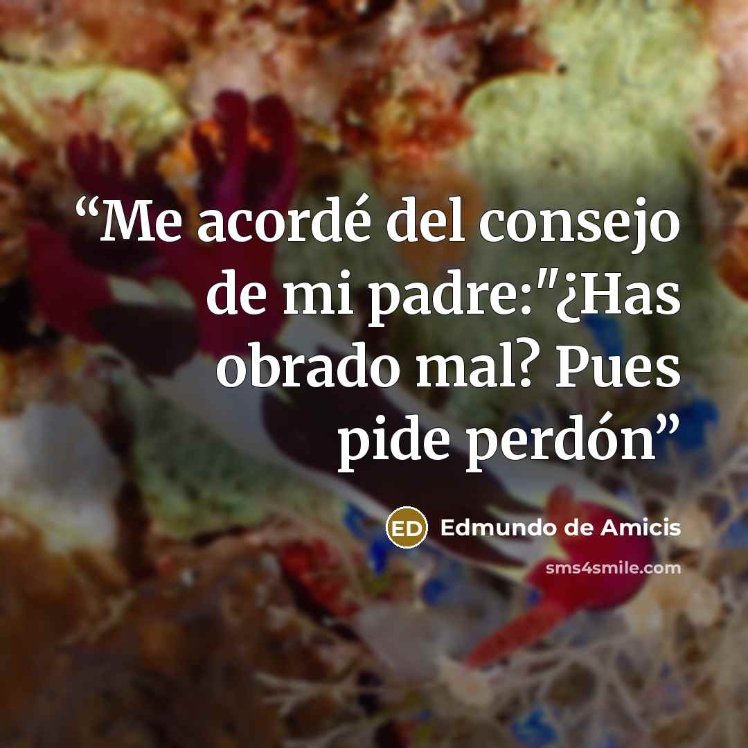 “Me acordé del consejo de mi padre:"¿Has obrado mal? Pues pide perdón” quote by Edmundo de Amicis