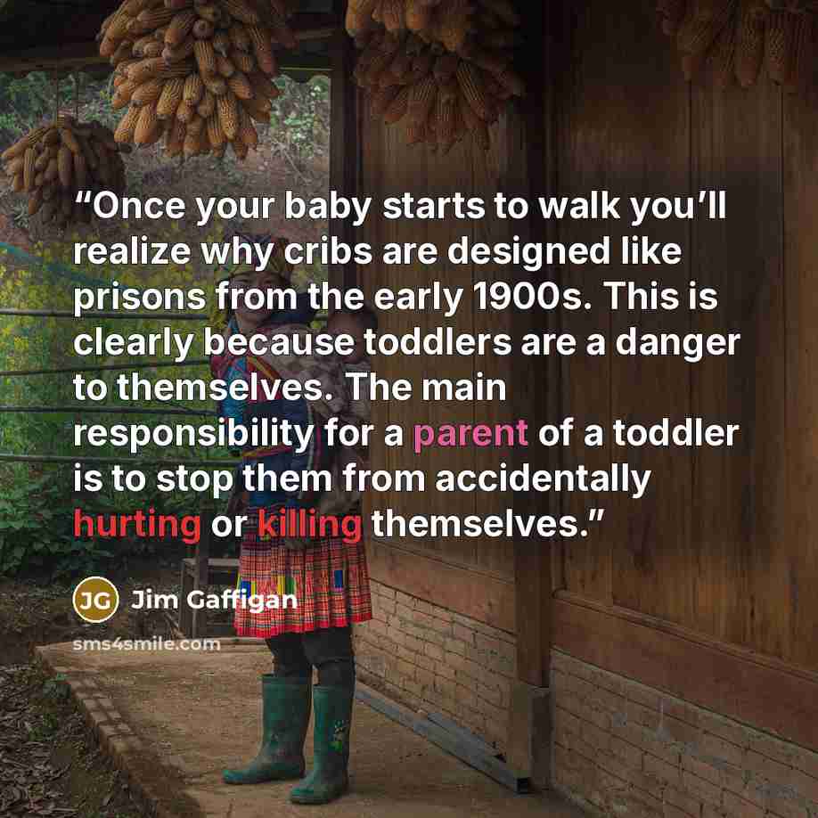 “Once your baby starts to walk you’ll realize why cribs are designed like prisons from the early 1900s. This is clearly because toddlers are a danger to themselves. The main responsibility for a parent of a toddler is to stop them from accidentally hurting or killing themselves.” quote by Jim Gaffigan