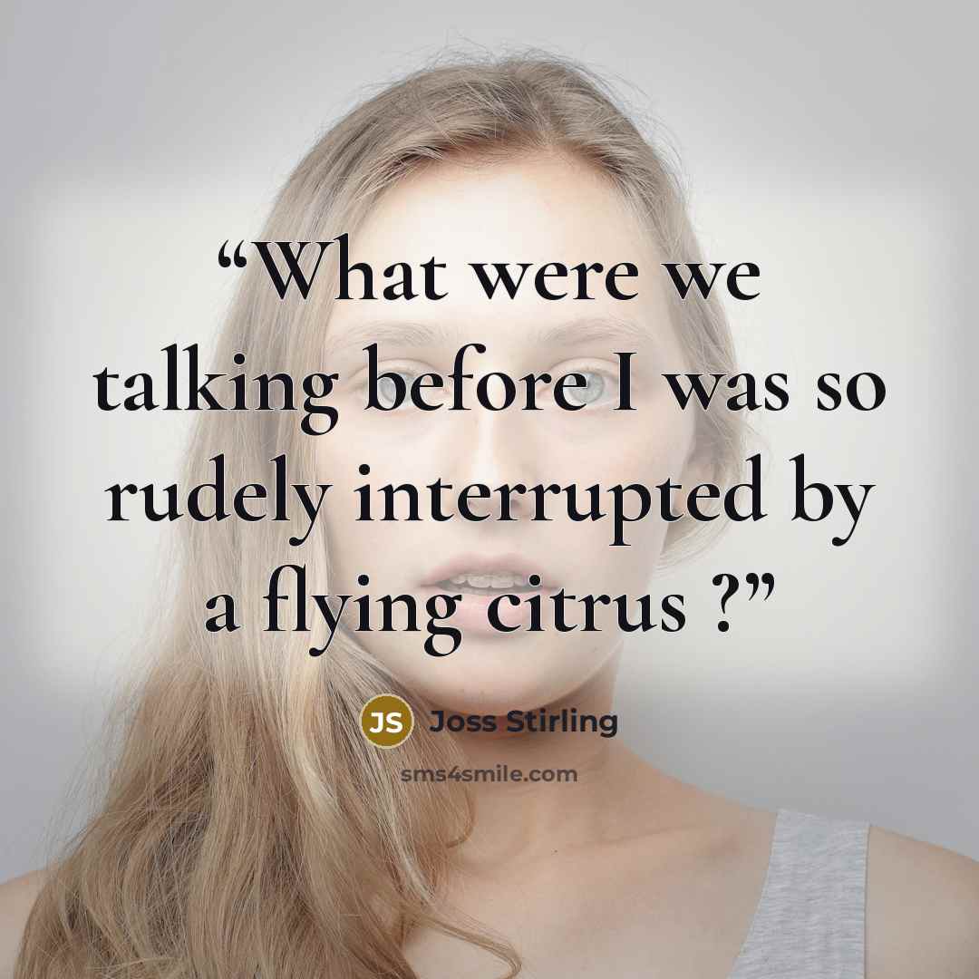 “What were we talking before I was so rudely interrupted by a flying citrus ?” quote by Joss Stirling