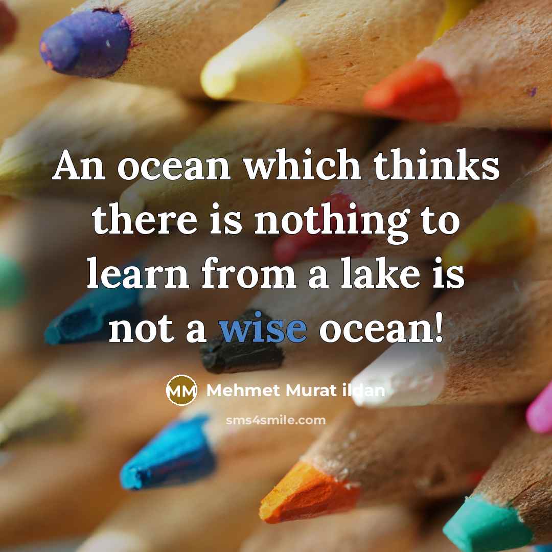 “An ocean which thinks there is nothing to learn from a lake is not a wise ocean!” quote by Mehmet Murat Ildan