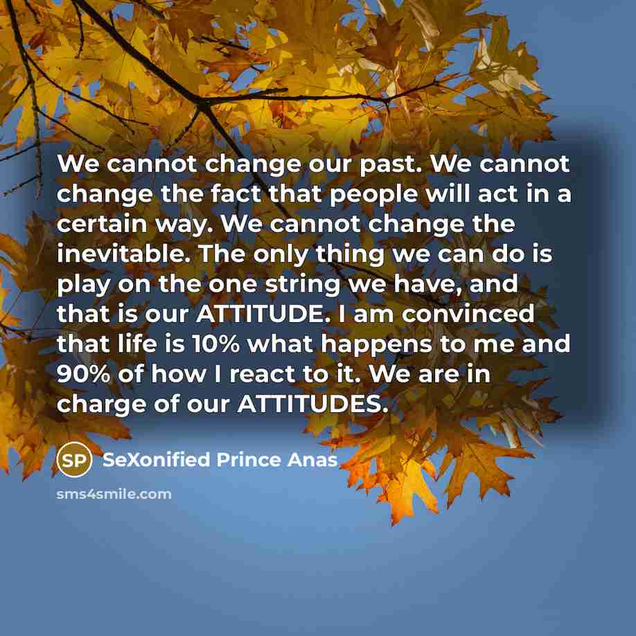 “We cannot change our past. We cannot change the fact that people will act in a certain way. We cannot change the inevitable. The only thing we can do is play on the one string we have, and that is our ATTITUDE. I am convinced that life is 10% what happens to me and 90% of how I react to it. We are…” quote by SeXonified Prince Anas
