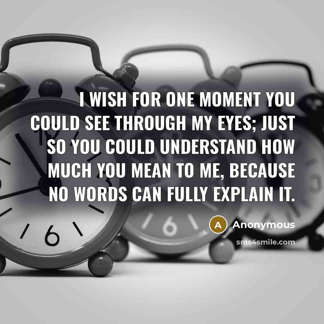 “I wish for one moment you could see through my eyes; just so you could understand how much you mean to me, because no words can fully explain it.” quote by Anonymous
