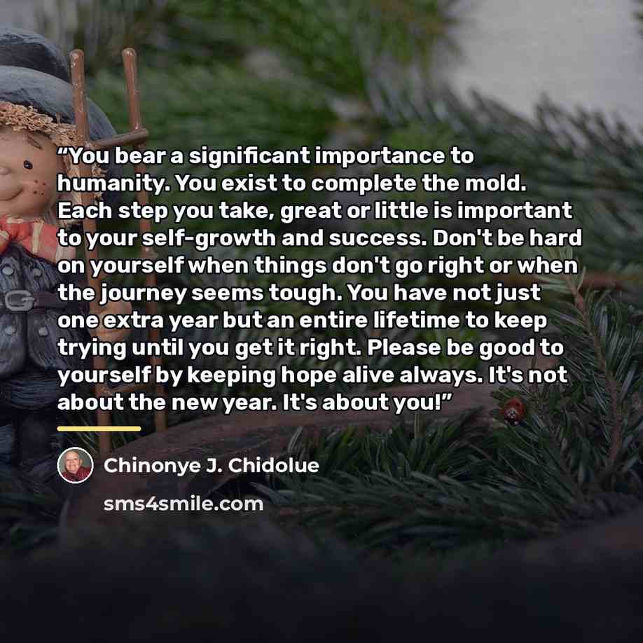 “You bear a significant importance to humanity. You exist to complete the mold. Each step you take, great or little is important to your self-growth and success. Don't be hard on yourself when things don't go right or when the journey seems tough. You have not just one extra year but an entire…” quote by Chinonye J. Chidolue