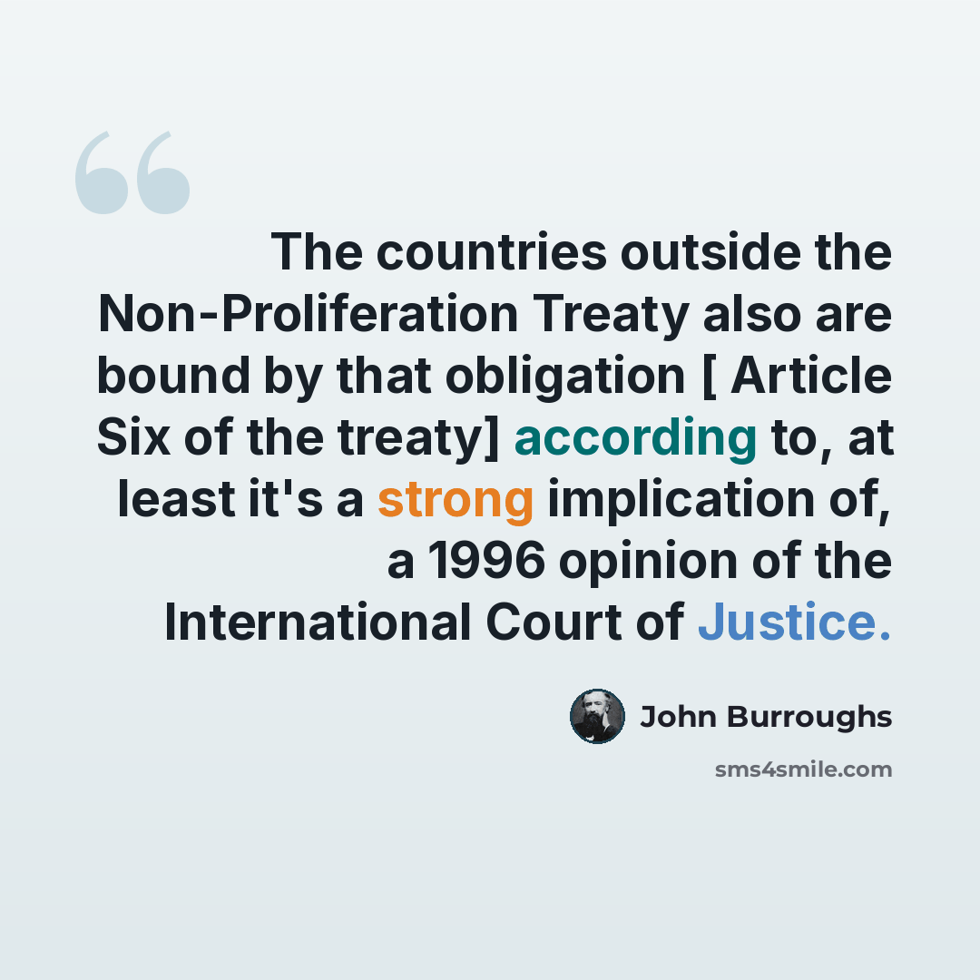 “The countries outside the Non-Proliferation Treaty also are bound by that obligation [ Article Six of the treaty] according to, at least it's a strong implication of, a 1996 opinion of the International Court of Justice.” quote by John Burroughs