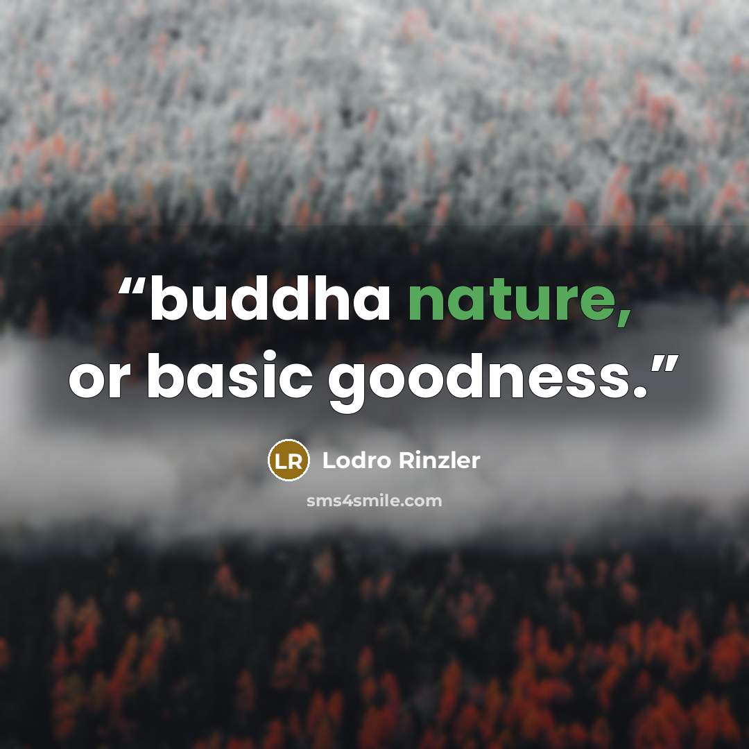 “buddha nature, or basic goodness.” quote by Lodro Rinzler