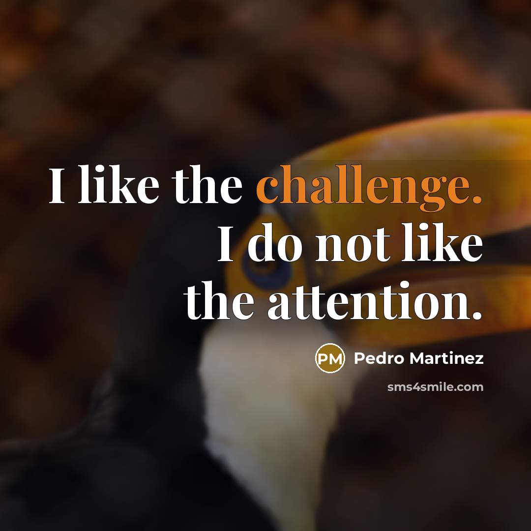 “I like the challenge. I do not like the attention.” quote by Pedro Martinez
