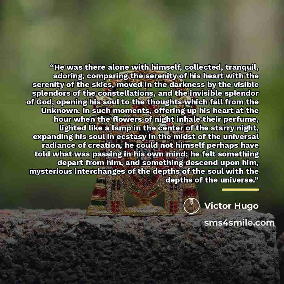 “He was there alone with himself, collected, tranquil, adoring, comparing the serenity of his heart with the serenity of the skies, moved in the darkness by the visible splendors of the constellations, and the invisible splendor of God, opening his soul to the thoughts which fall from the Unknown…” quote by Victor Hugo
