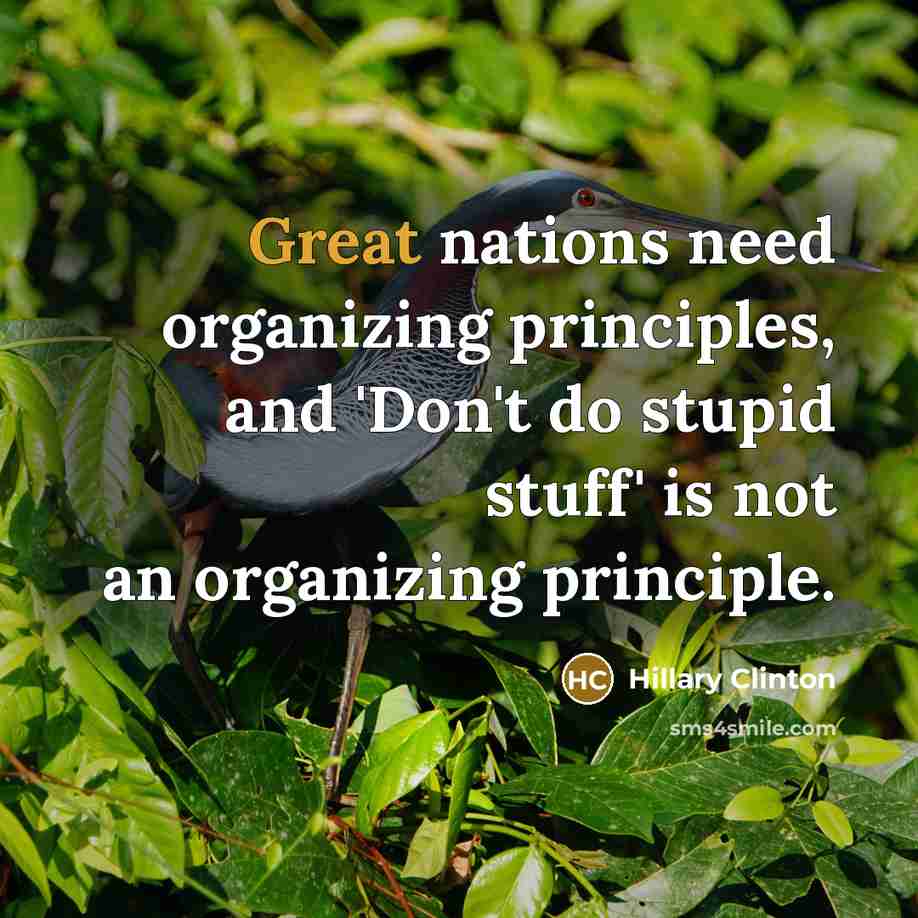 “Great nations need organizing principles, and 'Don't do stupid stuff' is not an organizing principle.” quote by Hillary Clinton