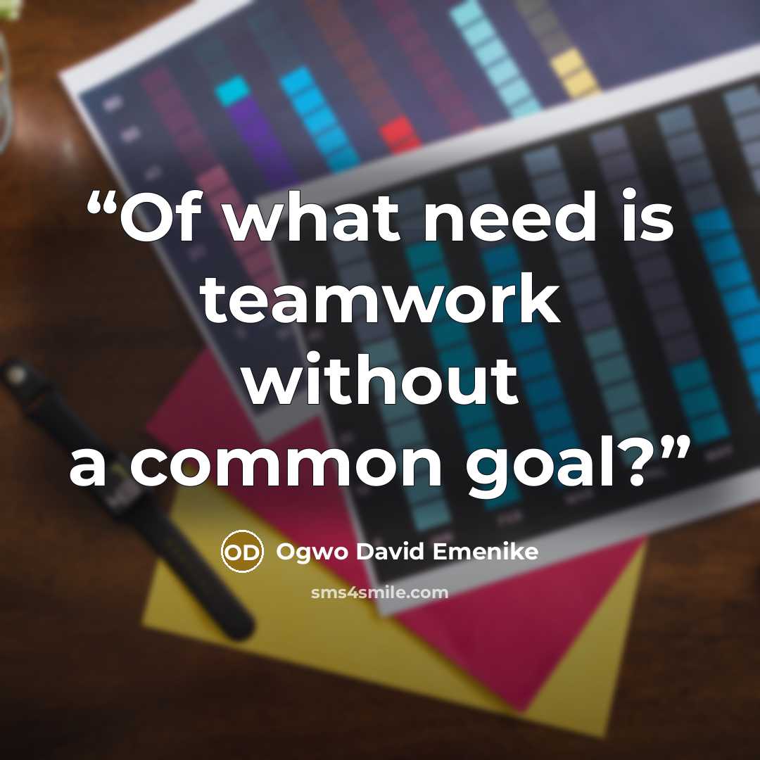 “Of what need is teamwork without a common goal?” quote by Ogwo David Emenike