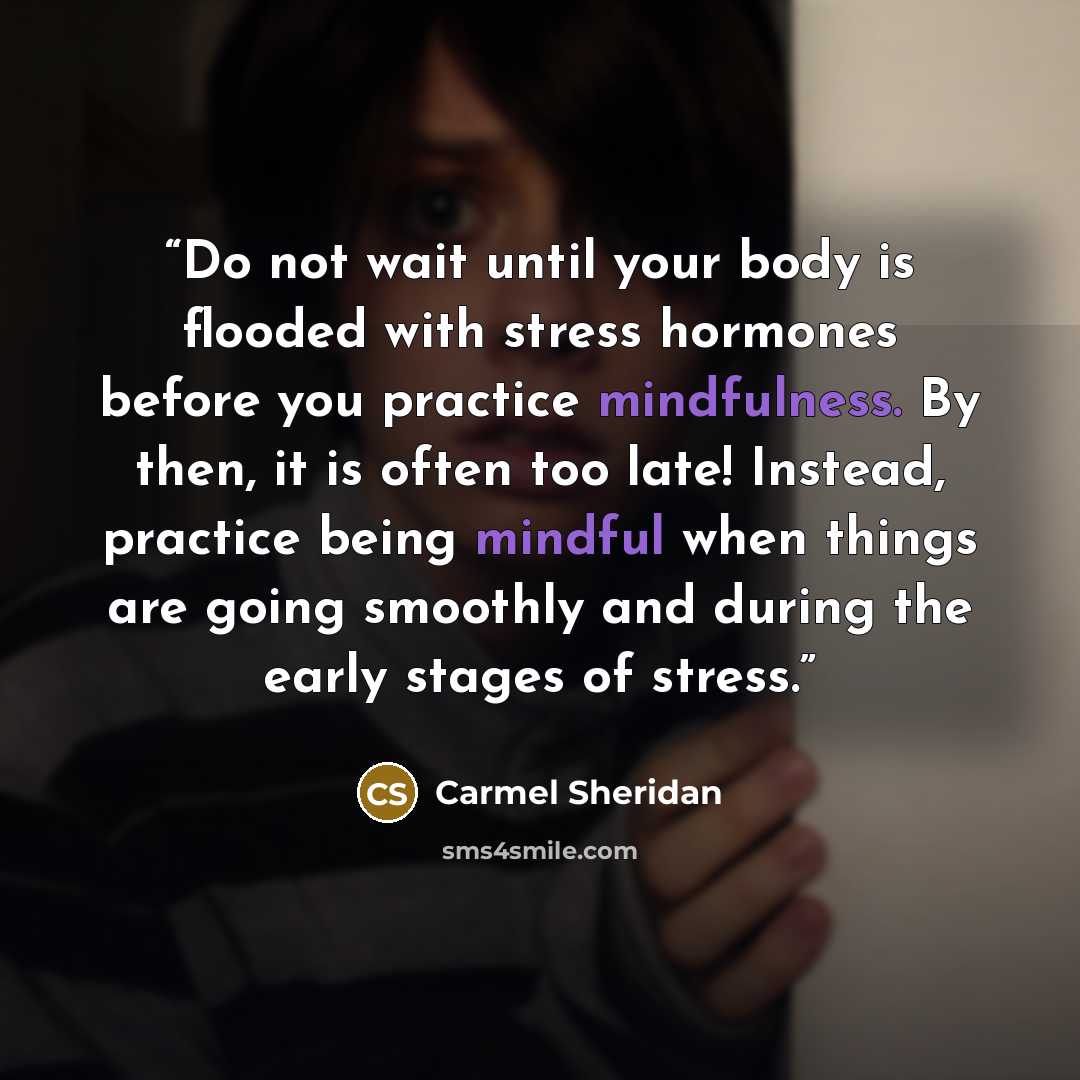 “Do not wait until your body is flooded with stress hormones before you practice mindfulness. By then, it is often too late! Instead, practice being mindful when things are going smoothly and during the early stages of stress.” quote by Carmel Sheridan