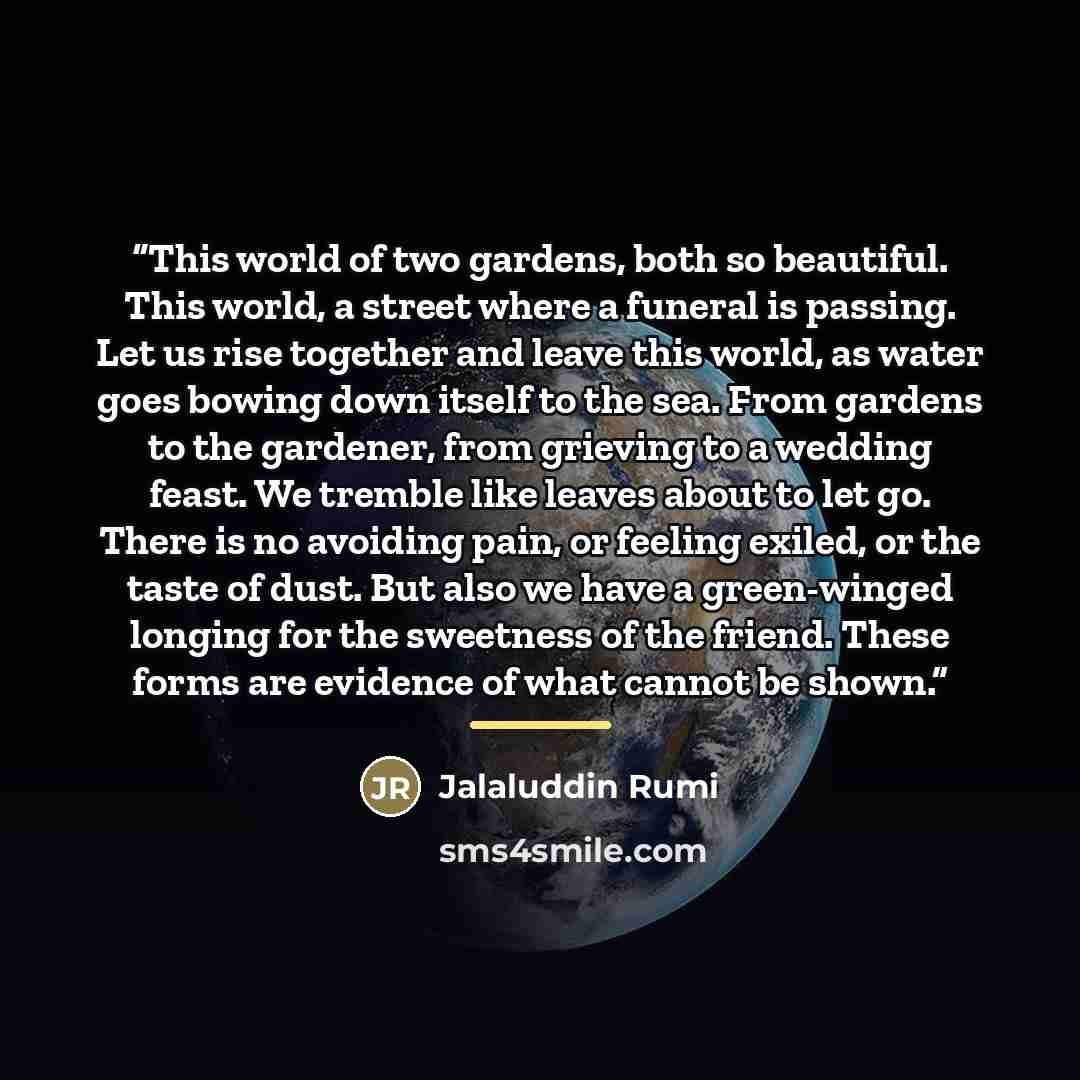 “This world of two gardens, both so beautiful. This world, a street where a funeral is passing. Let us rise together and leave this world, as water goes bowing down itself to the sea. From gardens to the gardener, from grieving to a wedding feast. We tremble like leaves about to let go. There is no…” quote by Jalaluddin Rumi