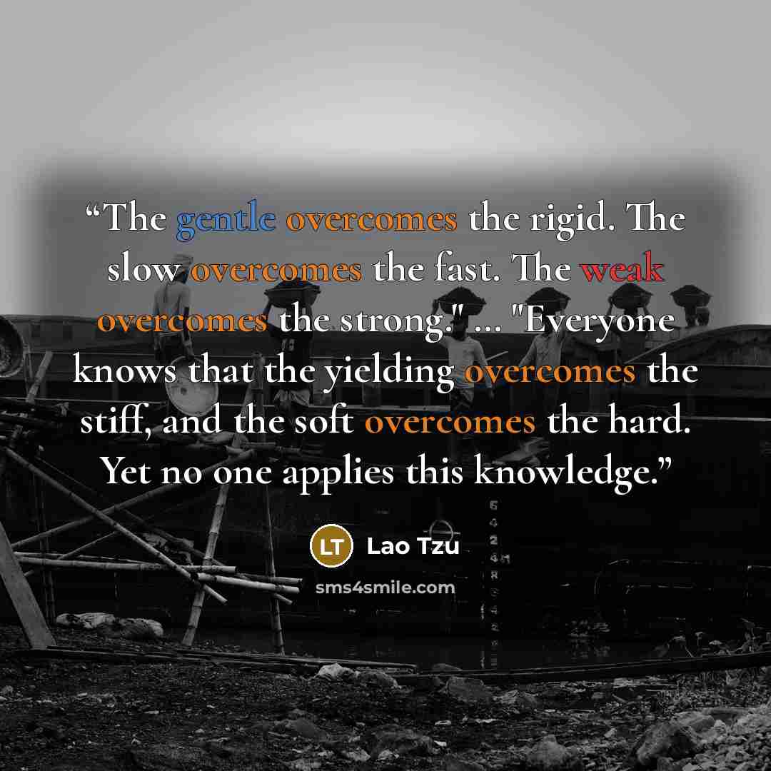 “Тhe gentle overcomes the rigid. The slow overcomes the fast. The weak overcomes the strong." … "Everyone knows that the yielding overcomes the stiff, and the soft overcomes the hard. Yet no one applies this knowledge.” quote by Lao Tzu