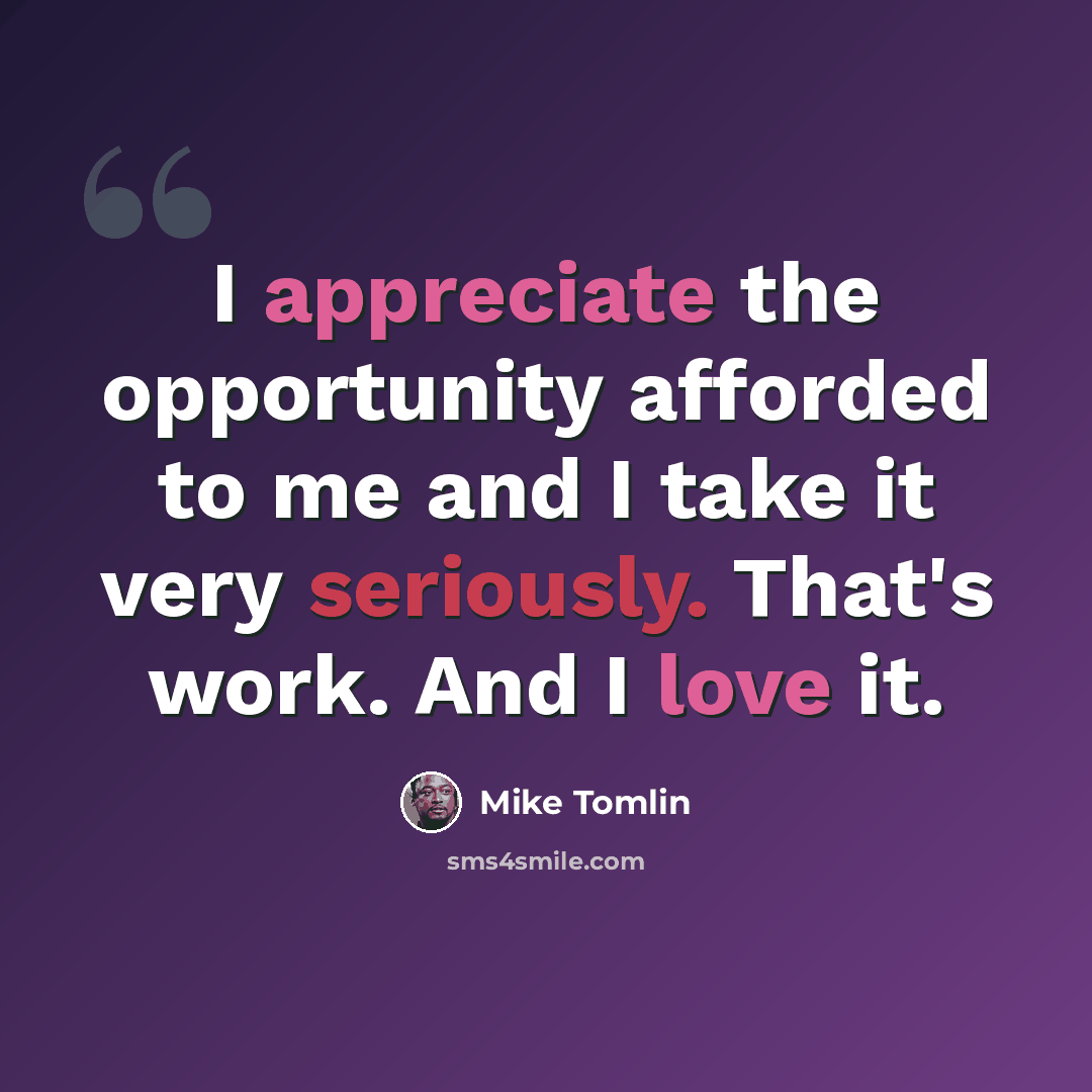 “I appreciate the opportunity afforded to me and I take it very seriously. That's work. And I love it.” quote by Mike Tomlin