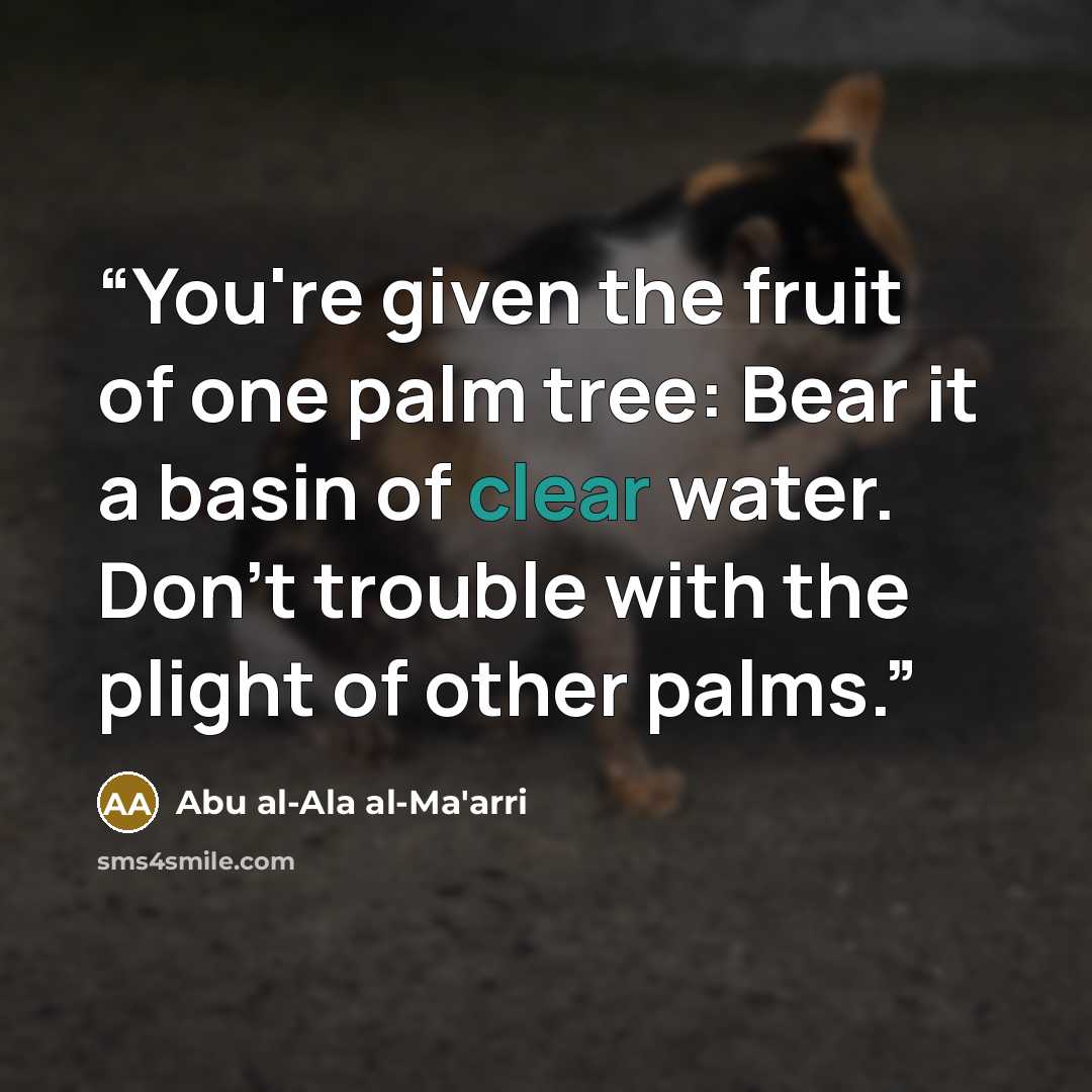 “You're given the fruit of one palm tree: Bear it a basin of clear water. Don't trouble with the plight of other palms.” quote by Abu al-Ala al-Ma'arri