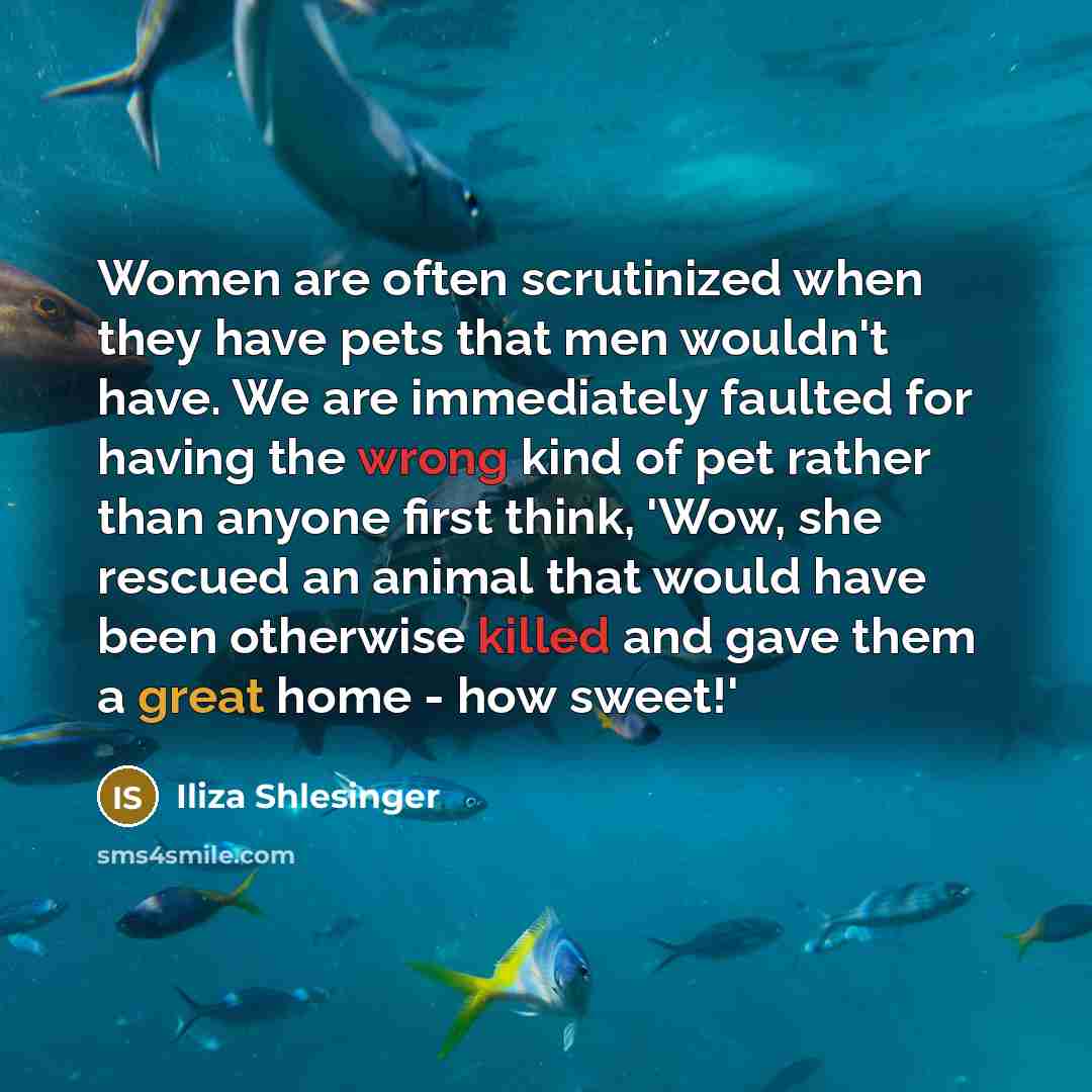 “Women are often scrutinized when they have pets that men wouldn't have. We are immediately faulted for having the wrong kind of pet rather than anyone first think, 'Wow, she rescued an animal that would have been otherwise killed and gave them a great home - how sweet!'” quote by Iliza Shlesinger