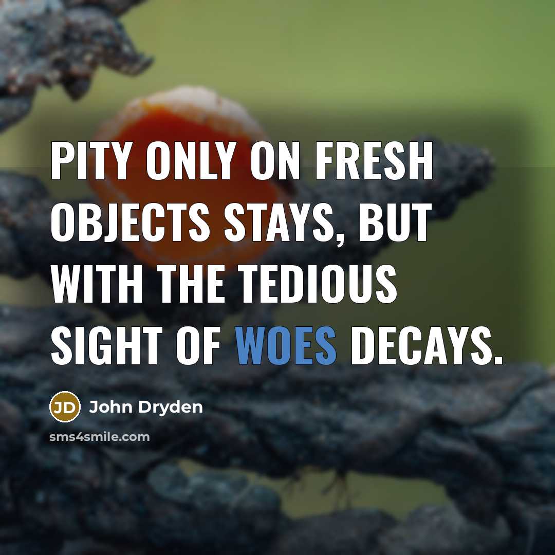 “Pity only on fresh objects stays, but with the tedious sight of woes decays.” quote by John Dryden