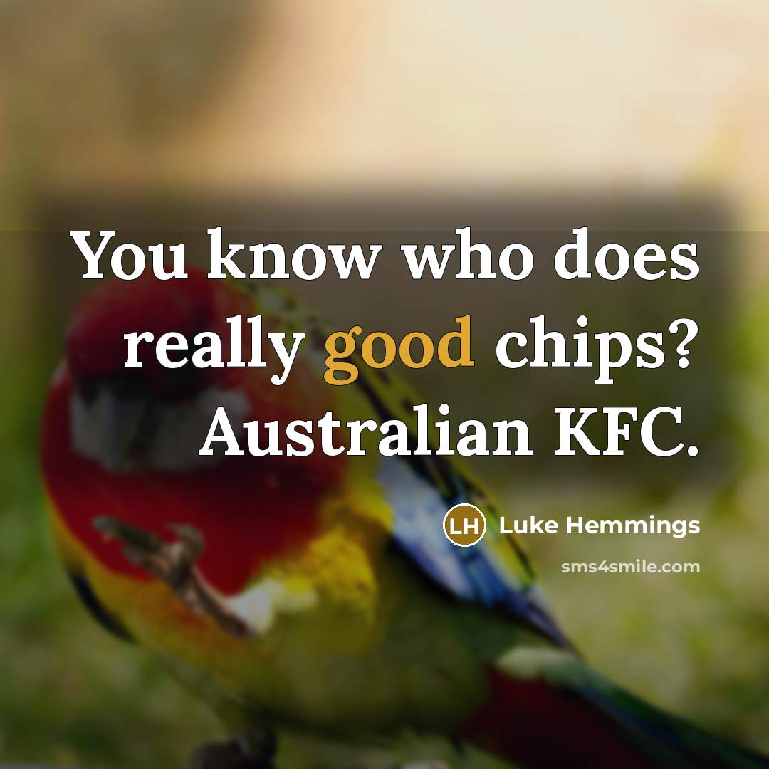 “You know who does really good chips? Australian KFC.” quote by Luke Hemmings