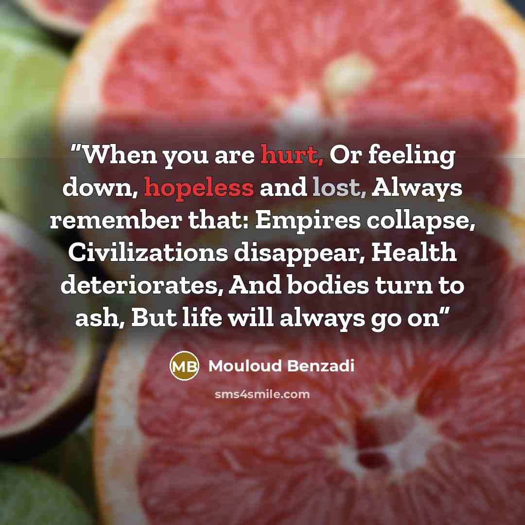“When you are hurt, Or feeling down, hopeless and lost, Always remember that: Empires collapse, Civilizations disappear, Health deteriorates, And bodies turn to ash, But life will always go on” quote by Mouloud Benzadi