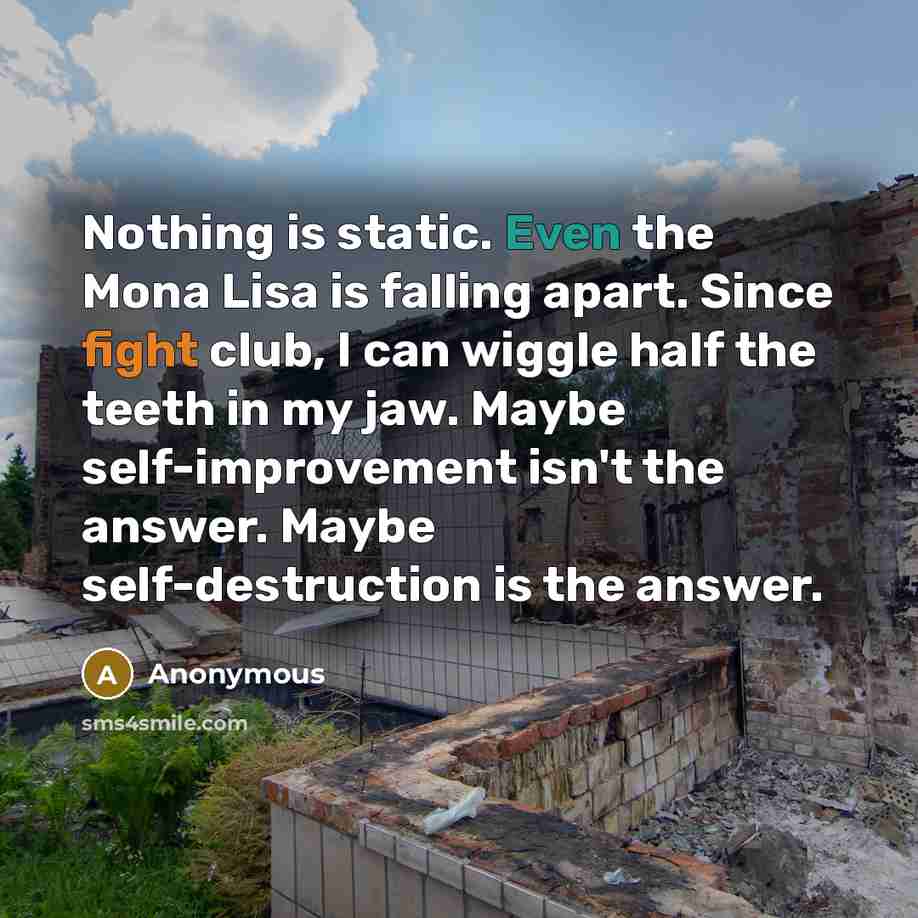 “Nothing is static. Even the Mona Lisa is falling apart. Since fight club, I can wiggle half the teeth in my jaw. Maybe self-improvement isn't the answer. Maybe self-destruction is the answer.” quote by Anonymous