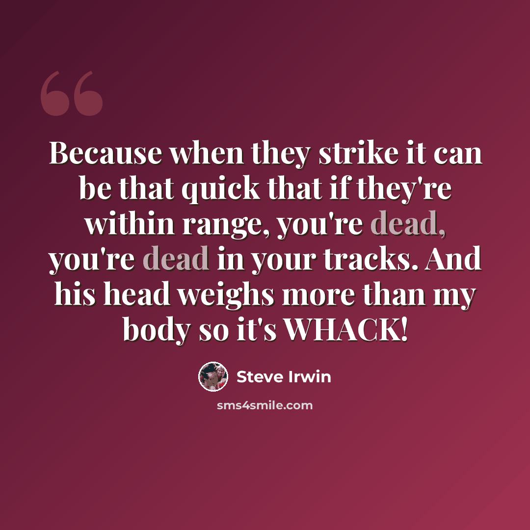 “Because when they strike it can be that quick that if they're within range, you're dead, you're dead in your tracks. And his head weighs more than my body so it's WHACK!” quote by Steve Irwin