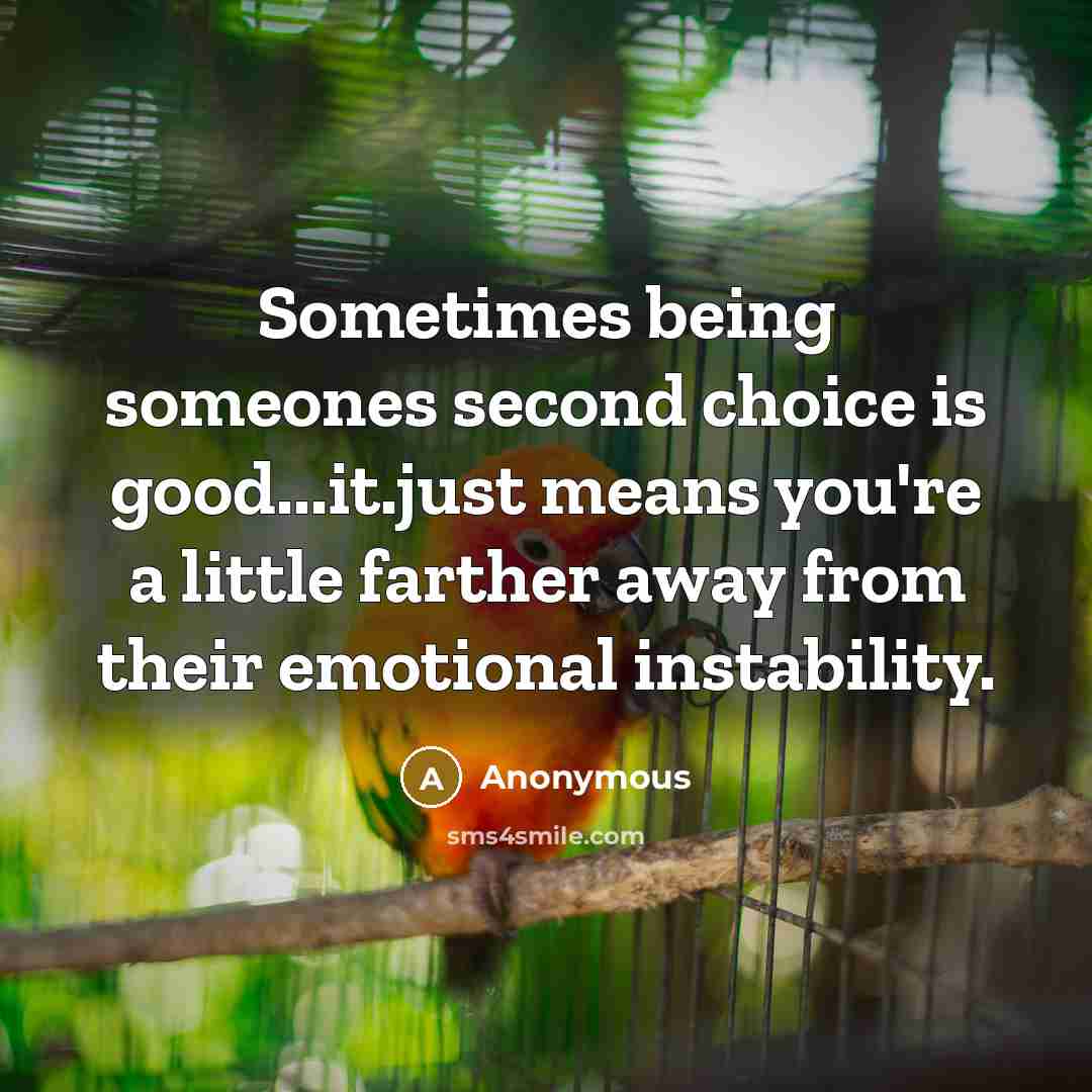 “Sometimes being someones second choice is good...it.just means you're a little farther away from their emotional instability.” quote by Anonymous