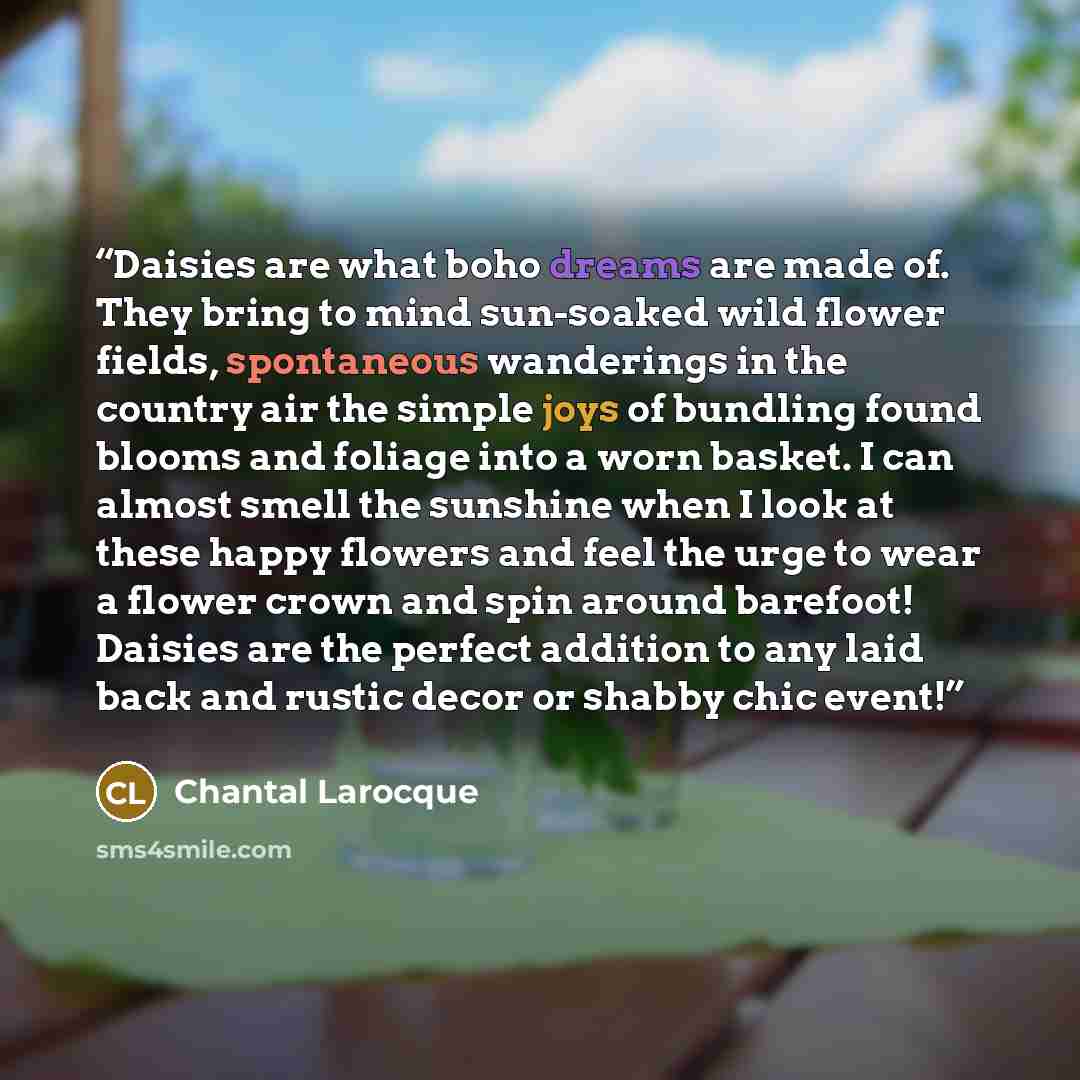 “Daisies are what boho dreams are made of. They bring to mind sun-soaked wild flower fields, spontaneous wanderings in the country air the simple joys of bundling found blooms and foliage into a worn basket. I can almost smell the sunshine when I look at these happy flowers and feel the urge to…” quote by Chantal Larocque