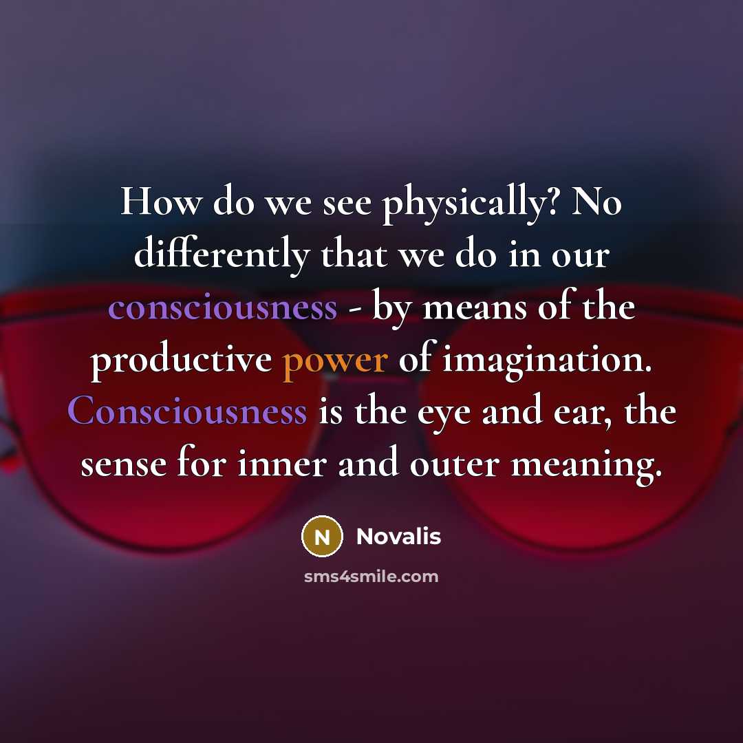 “How do we see physically? No differently that we do in our consciousness - by means of the productive power of imagination. Consciousness is the eye and ear, the sense for inner and outer meaning.” quote by Novalis