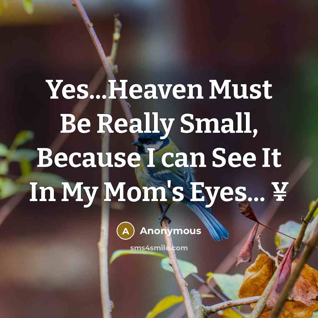 “Yes...Heaven Must Be Really Small, Because I can See It In My Mom's Eyes... ¥” quote by Anonymous