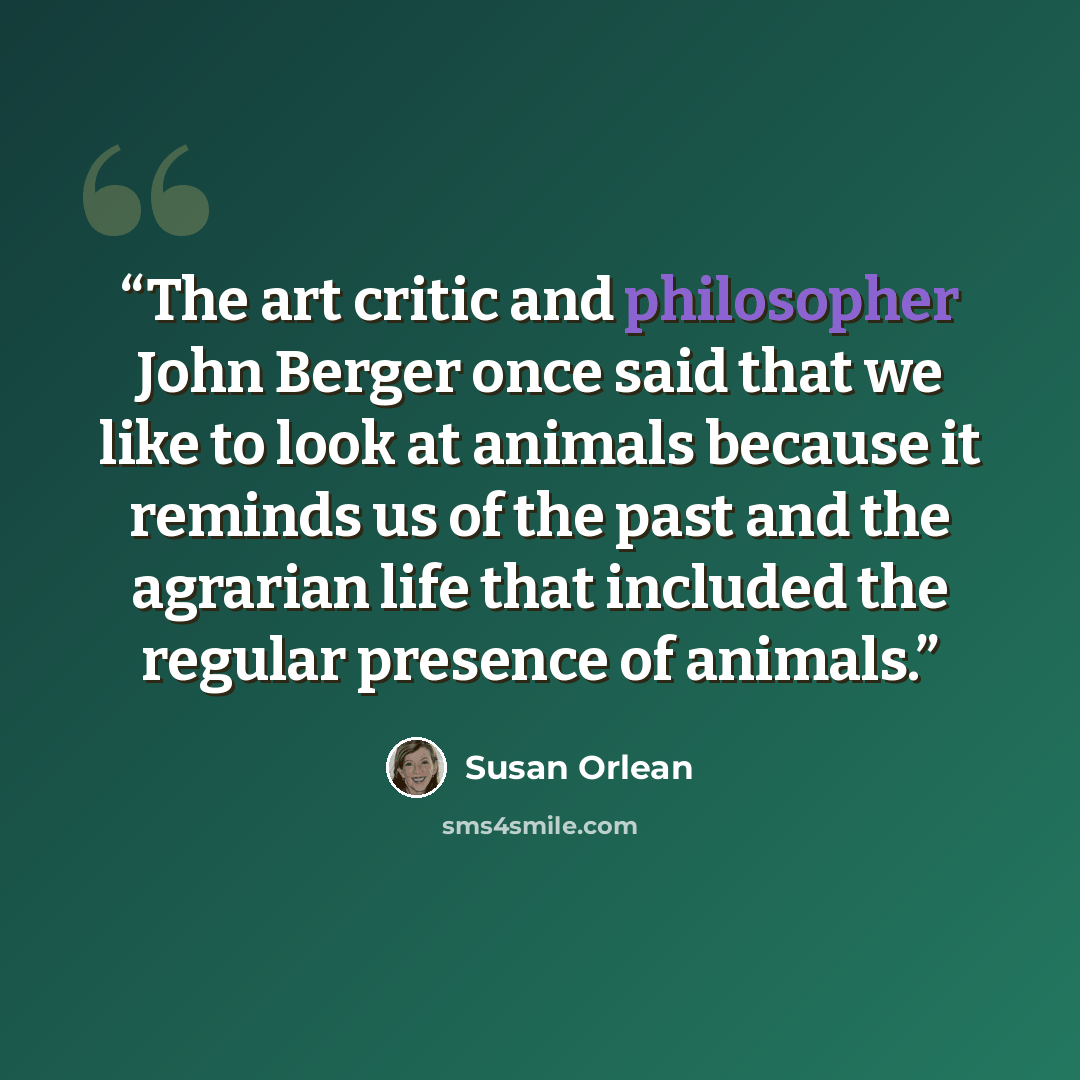 “The art critic and philosopher John Berger once said that we like to look at animals because it reminds us of the past and the agrarian life that included the regular presence of animals.” quote by Susan Orlean