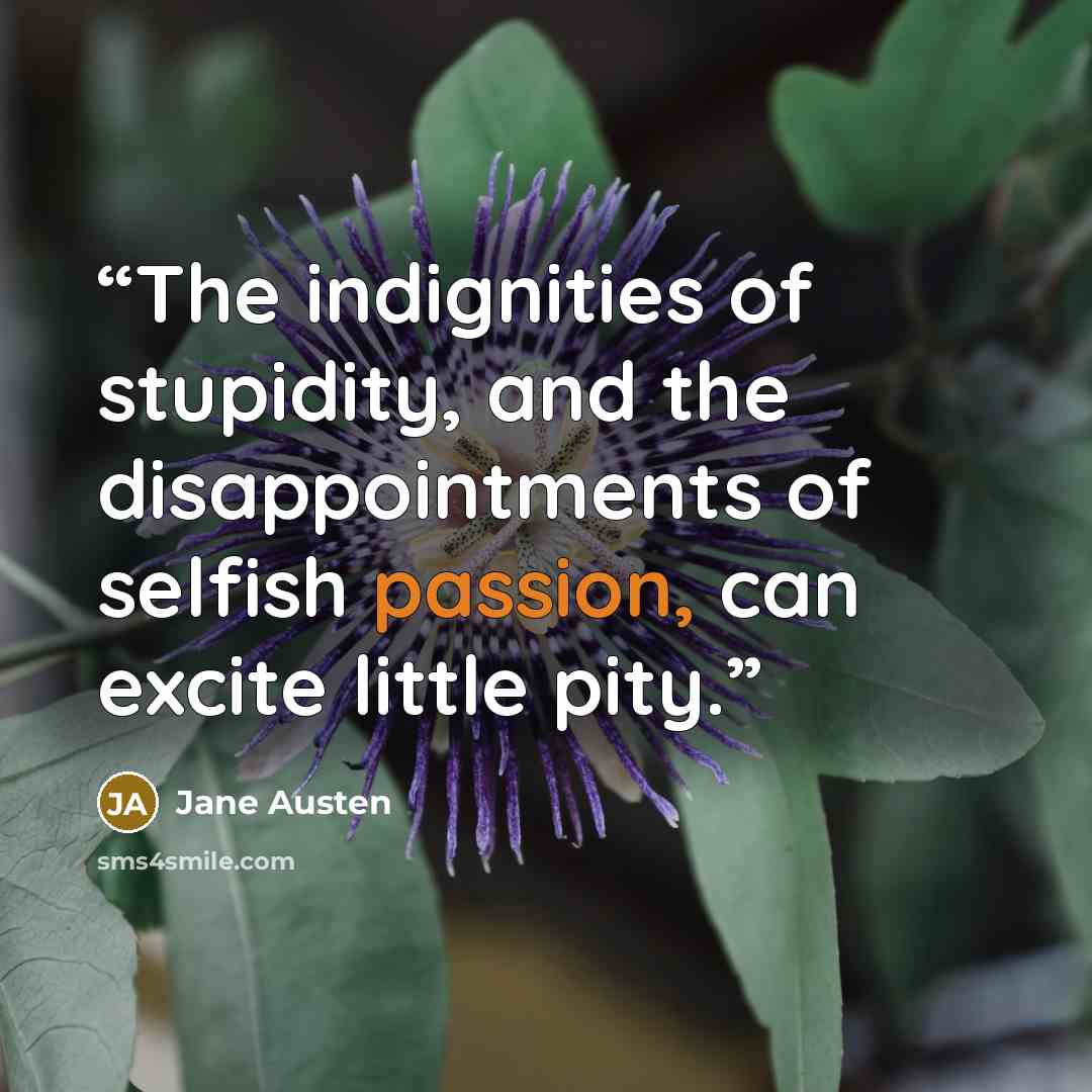 “The indignities of stupidity, and the disappointments of selfish passion, can excite little pity.” quote by Jane Austen