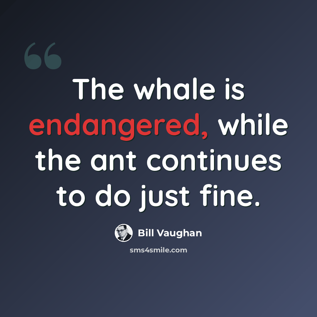 “The whale is endangered, while the ant continues to do just fine.” quote by Bill Vaughan